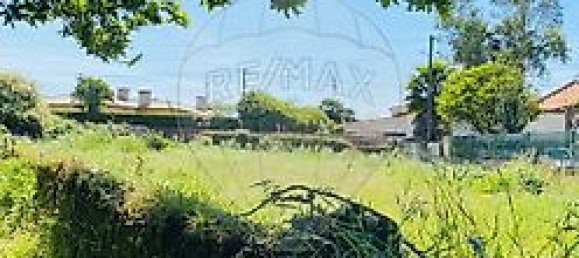 2 غرف نوم منزل في Loureiro, Portugal رقم 30593 8