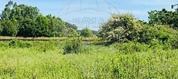 2 غرف نوم منزل في Loureiro, Portugal رقم 30593 6