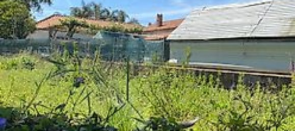 2 غرف نوم منزل في Loureiro, Portugal رقم 30593 11