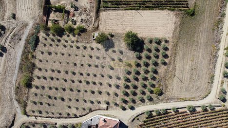  Land in Sao Joao da Pesqueira, Portugal No. 72709