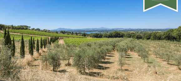 7 Schlafzimmer Haus in Tuoro sul Trasimeno, Italy, Nr. 54198 16