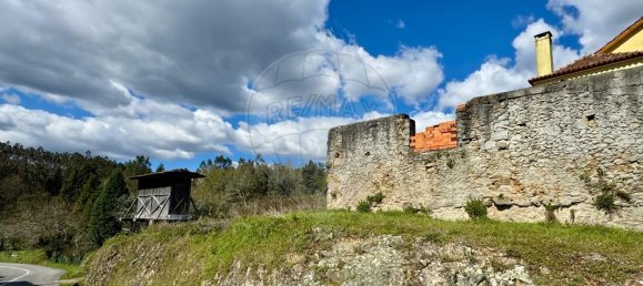 5 bedrooms House in Mortagua, Portugal No. 170471 22
