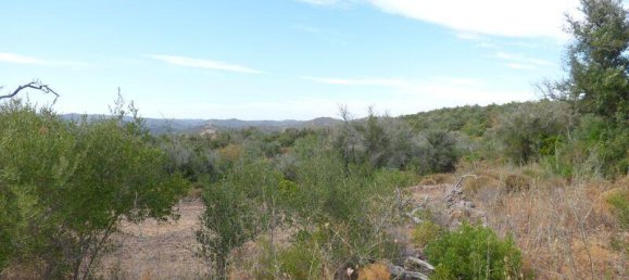 4 Schlafzimmer Haus in Sao Bartolomeu de Messines, Portugal, Nr. 264592 11
