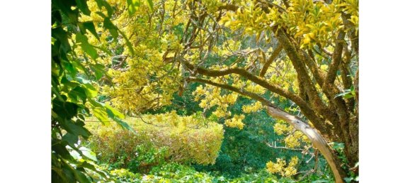 Casa de 5 dormitorios en Sintra, Portugal No. 120647 24