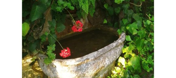 Casa de 5 dormitorios en Sintra, Portugal No. 120647 27