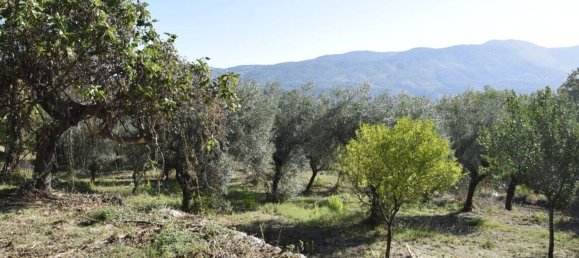 10 bedrooms House in Ausonia, Italy No. 363699 32