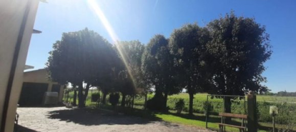 6-salle Maison à Molinella, Italy No. 251591 7