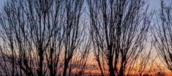 6-salle Maison à Molinella, Italy No. 251591 12