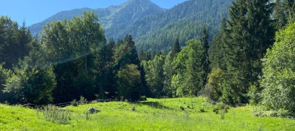  Commercial property in Sautens, Austria No. 130630 6