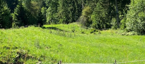  Commercial property in Sautens, Austria No. 130630 10