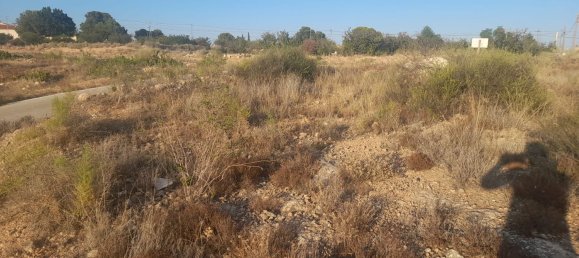  Land in Moralet, Spain No. 190281 2