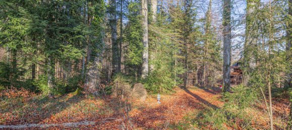 قطعة أرض في Landsberg am Lech, Germany رقم 321175 4