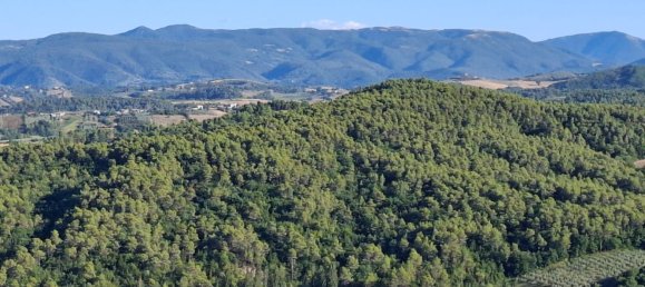 4 rooms House in Castel Ritaldi, Italy No. 309043 34