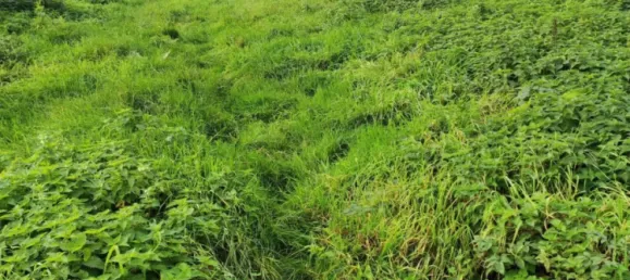 Terreno en Preseau, France 2179 m² No. 218151 3