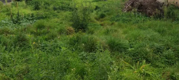 Terreno en Preseau, France 2179 m² No. 218151 4