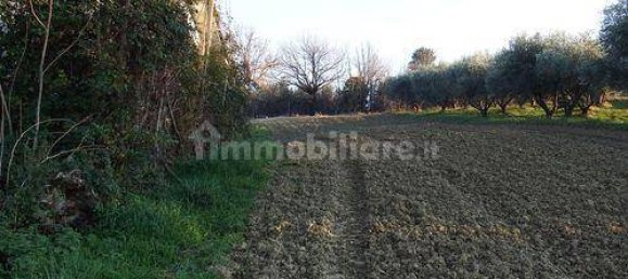 Casa de 5 habitaciónes en Belvedere Ostrense, Italy No. 147422 14