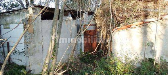 Casa de 5 habitaciónes en Belvedere Ostrense, Italy No. 147422 3