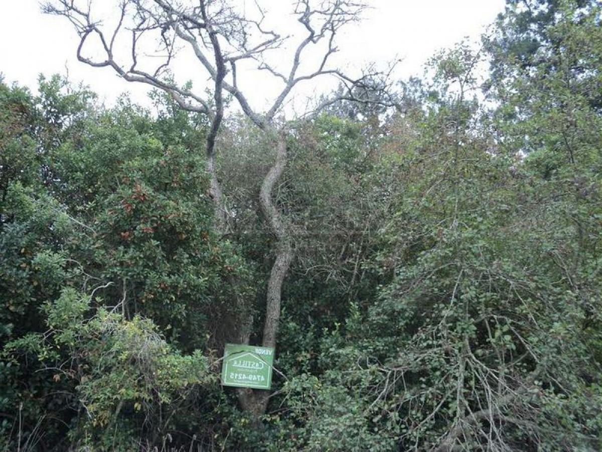  Land in Tigre, Argentina No. 40385