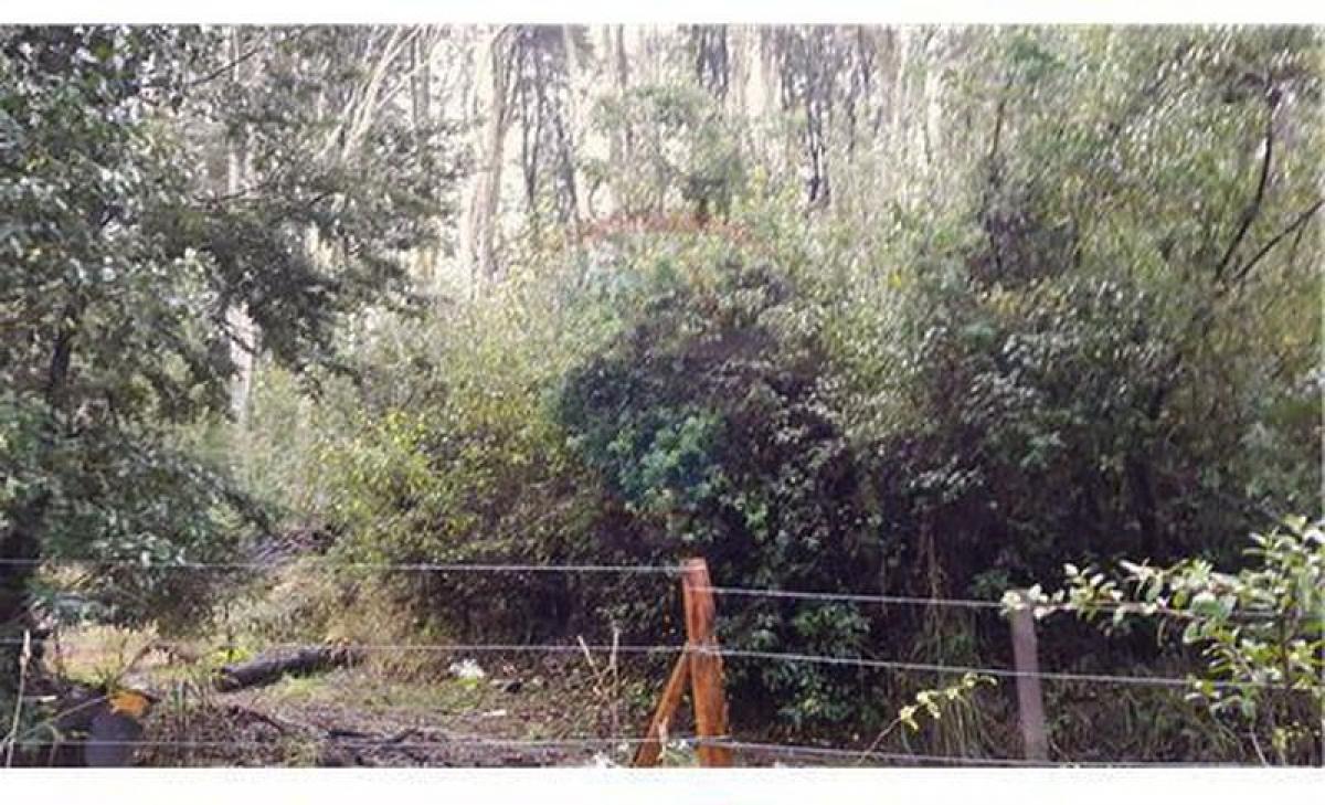 Земельный участок в Неукен, Аргентина № 36770