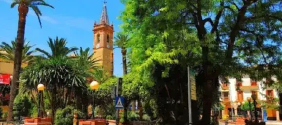 Terreno en Campillos, Spain 2639 m² No. 181657 9