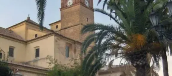 Terreno en Campillos, Spain 2639 m² No. 181657 11