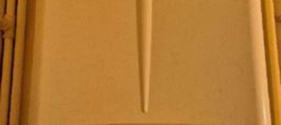 8 rooms Apartment in Medicina, Italy No. 24864 15