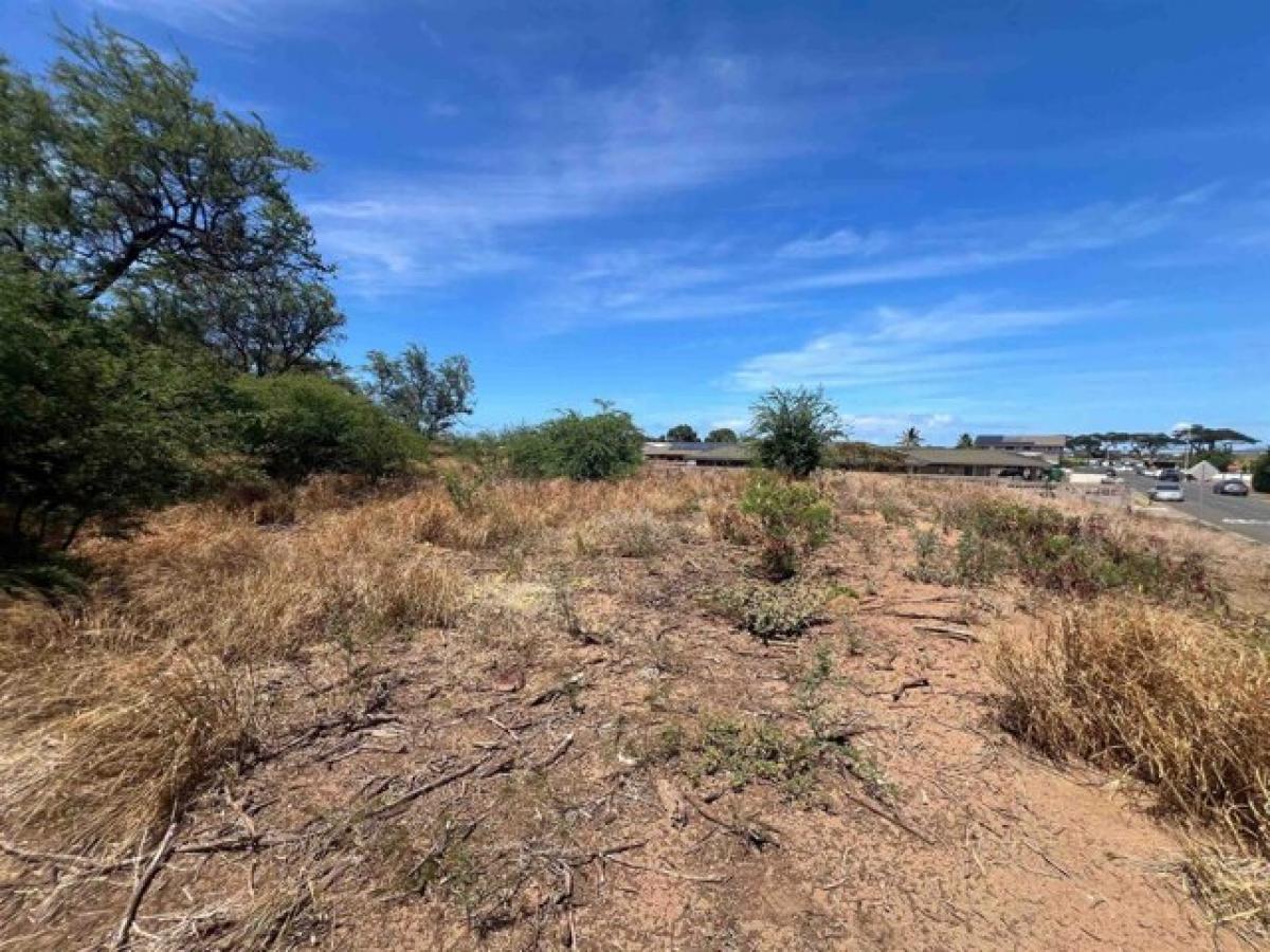  Land in Kahului, USA No. 488094