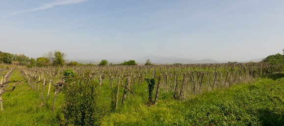 9-salle Maison à Monte Compatri, Italy No. 73197 22