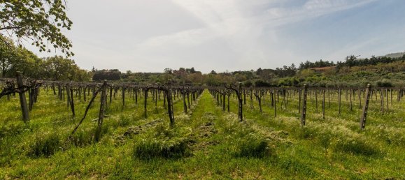 9-salle Maison à Monte Compatri, Italy No. 73197 28