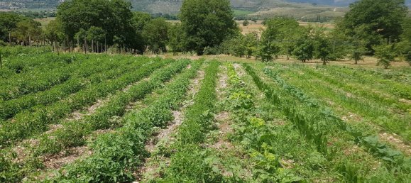 Propriété commerciale à Capestrano, Italy 400m² No. 294519 28