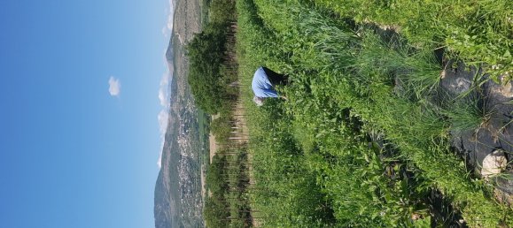 Propriété commerciale à Capestrano, Italy 400m² No. 294519 26