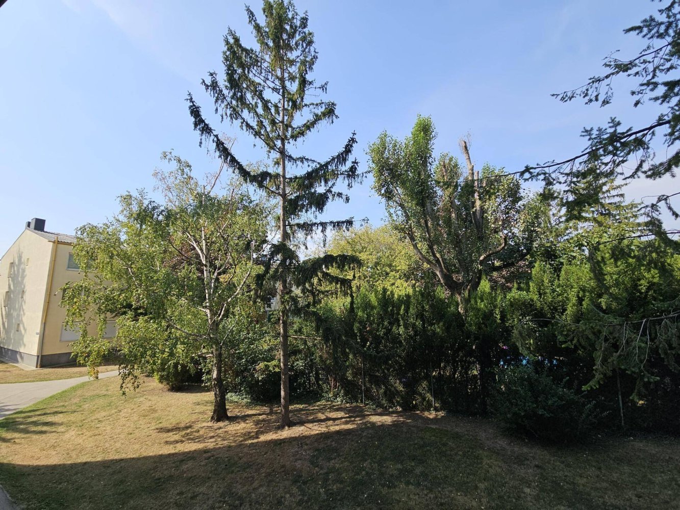 2 rooms Apartment in Wiener Neudorf, Austria No. 206309