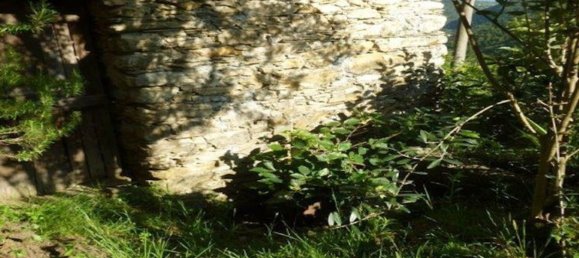 9 rooms House in Rapallo, Italy No. 35885 13