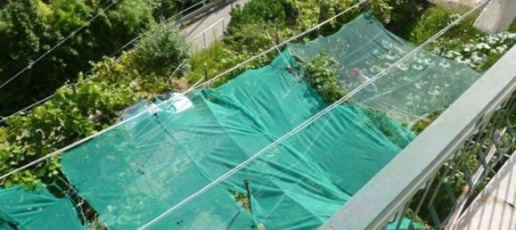 9 rooms House in Rapallo, Italy No. 35885 14