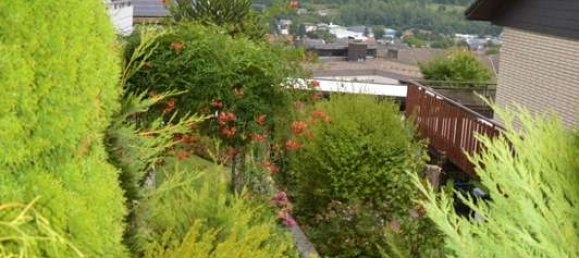 Таунхаус с 2 спальнями в Хёкстер, Германия № 34236 14