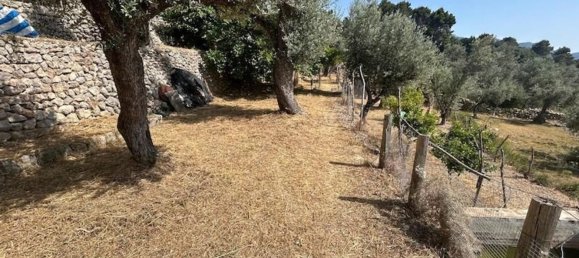 2 غرف نوم منزل في Fornalutx, Spain رقم 156242 15