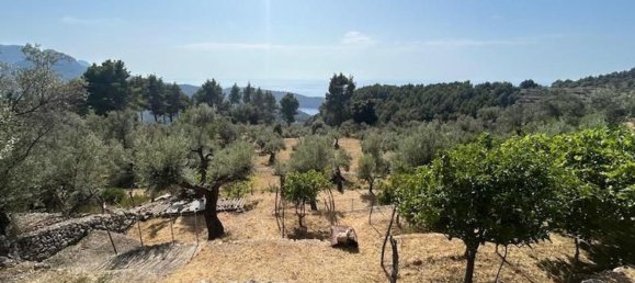 2 غرف نوم منزل في Fornalutx, Spain رقم 156242 10