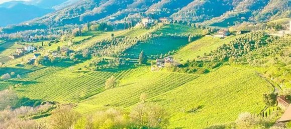 11 bedrooms Villa in Cenate Sotto, Italy No. 361062 44