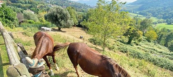 11 bedrooms Villa in Cenate Sotto, Italy No. 361062 13