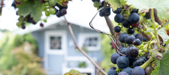 Casa de 6 divisões em Wesermarsch, Germany N.º 350969 39