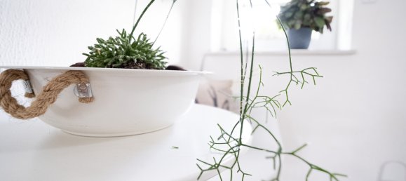 Casa de 6 divisões em Wesermarsch, Germany N.º 350969 7