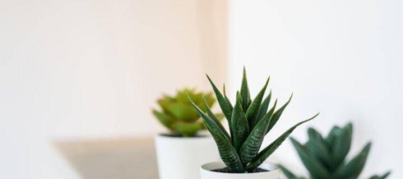 6-Zimmer Penthouse in Leopoldstadt, Austria, Nr. 54385 23