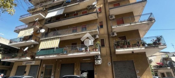 63m² Warehouse in Corigliano Rossano, Italy No. 295389 14