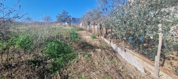 1100m² Land in Castiglione del Genovesi, Italy No. 300327 6