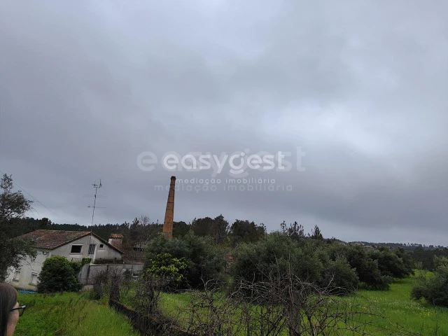 5 Schlafzimmer Haus in Sarzedas, Portugal, Nr. 77553