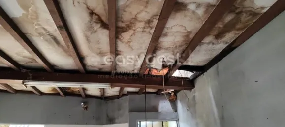 5 Schlafzimmer Haus in Sarzedas, Portugal, Nr. 77553 15