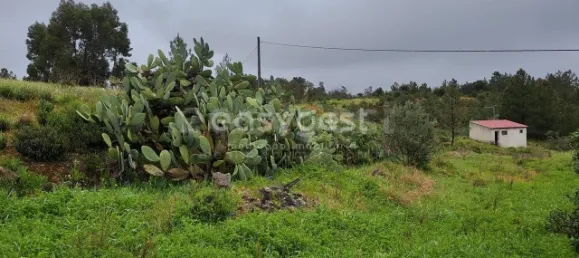 5 Schlafzimmer Haus in Sarzedas, Portugal, Nr. 77553 4