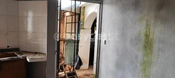 5 Schlafzimmer Haus in Sarzedas, Portugal, Nr. 77553 13