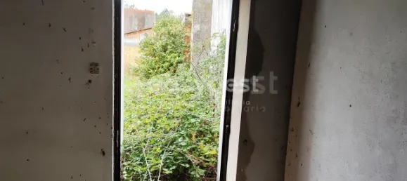 5 Schlafzimmer Haus in Sarzedas, Portugal, Nr. 77553 12