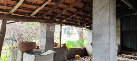 5 Schlafzimmer Haus in Sarzedas, Portugal, Nr. 77553 31